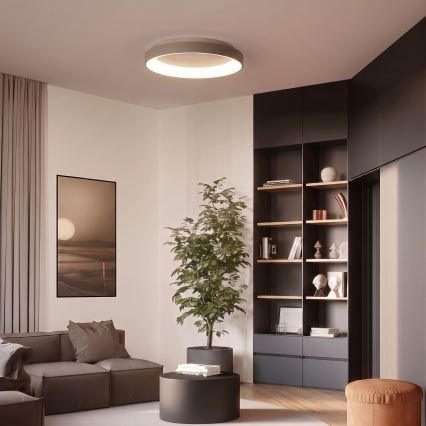 BRILAGI - Plafonnier LED dimmable FALCON II LED/99W/230V 3000-6500K Ø 60 cm beige + télécommande