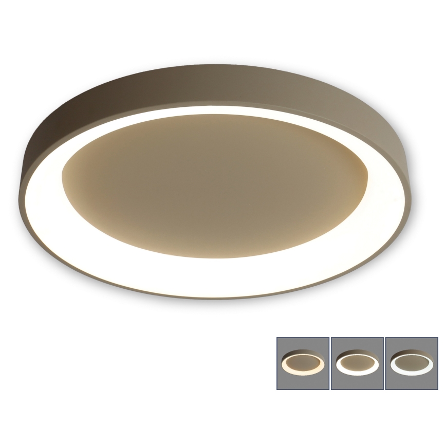 BRILAGI - Plafonnier LED dimmable FALCON II LED/99W/230V 3000-6500K Ø 60 cm beige + télécommande