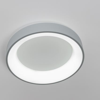 Brilagi - Plafonnier LED dimmable FALCON LED/80W/230V 3000-6500K Ø 60 cm gris + télécommande