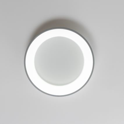 Brilagi - Plafonnier LED dimmable FALCON LED/80W/230V 3000-6500K Ø 60 cm gris + télécommande