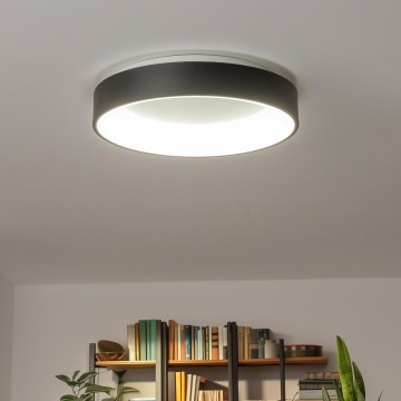 Brilagi - Plafonnier LED dimmable FALCON LED/80W/230V 3000-6500K Ø 60 cm noir + télécommande