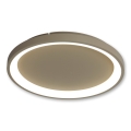 BRILAGI - Plafonnier LED dimmable FALCON SLIM LED/42W/230V 3000-6500K Ø 50 cm beige + télécommande