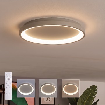BRILAGI - Plafonnier LED dimmable FALCON SLIM LED/42W/230V 3000-6500K Ø 50 cm beige + télécommande