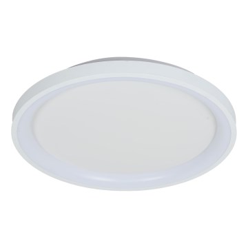 Brilagi - Plafonnier LED dimmable FALCON SLIM LED/42W/230V 3000-6500K Ø 50 cm blanc + télécommande