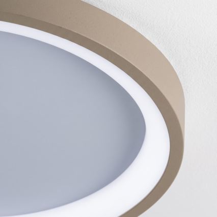 BRILAGI - Plafonnier LED dimmable FALCON SLIM LED/42W/230V 3000-6500K Ø 50 cm blanc/beige + télécommande