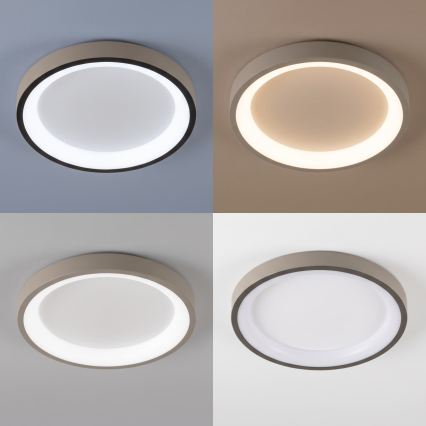 BRILAGI - Plafonnier LED dimmable FALCON SLIM LED/42W/230V 3000-6500K Ø 50 cm blanc/beige + télécommande