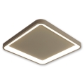 BRILAGI - Plafonnier LED dimmable FALCON SLIM LED/50W/230V 3000-6500K 50x50 cm beige + télécommande