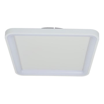 Brilagi - Plafonnier LED dimmable FALCON SLIM LED/50W/230V 3000-6500K 50x50 cm blanc + télécommande