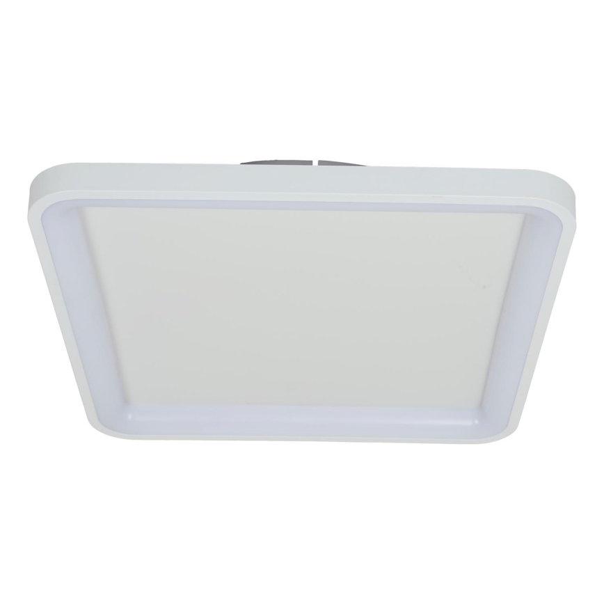 Brilagi - Plafonnier LED dimmable FALCON SLIM LED/50W/230V 3000-6500K 50x50 cm blanc + télécommande