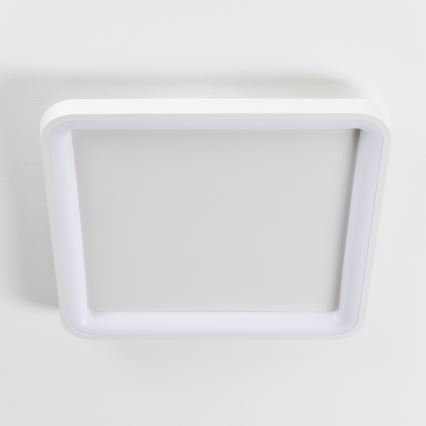 Brilagi - Plafonnier LED dimmable FALCON SLIM LED/50W/230V 3000-6500K 50x50 cm blanc + télécommande