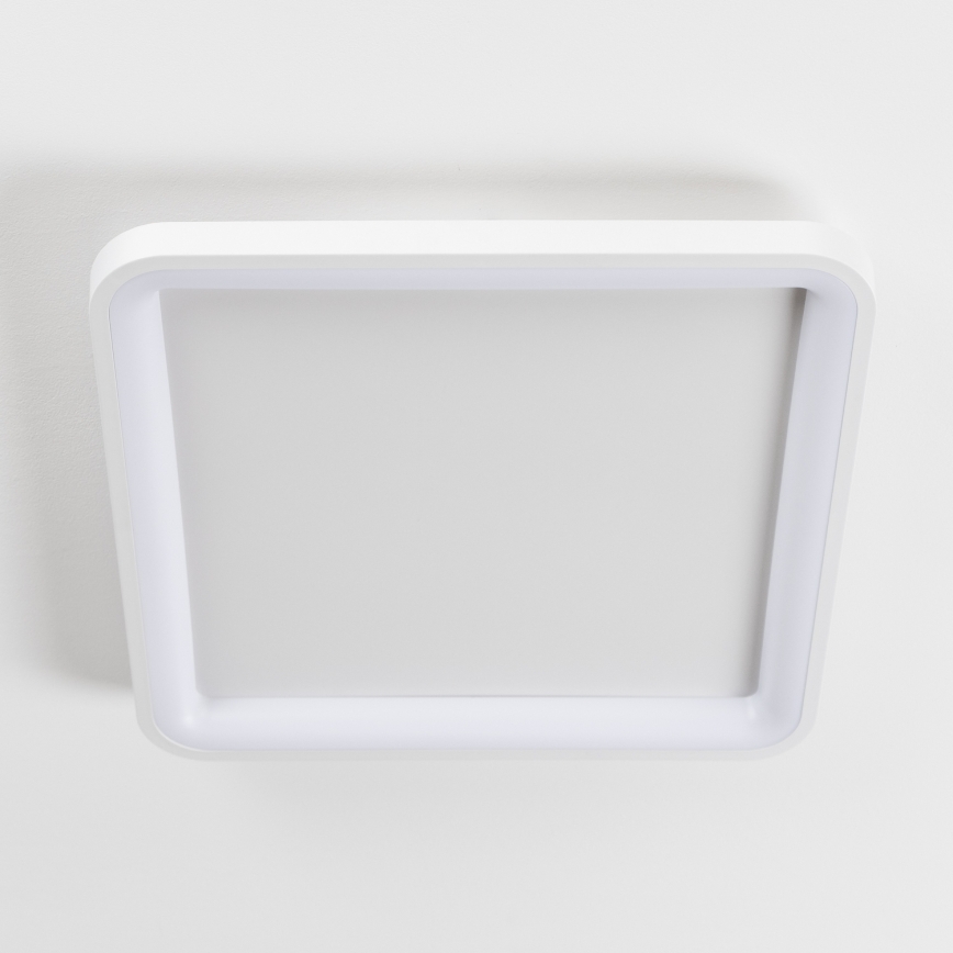 Brilagi - Plafonnier LED dimmable FALCON SLIM LED/50W/230V 3000-6500K 50x50 cm blanc + télécommande