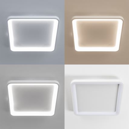 Brilagi - Plafonnier LED dimmable FALCON SLIM LED/50W/230V 3000-6500K 50x50 cm blanc + télécommande