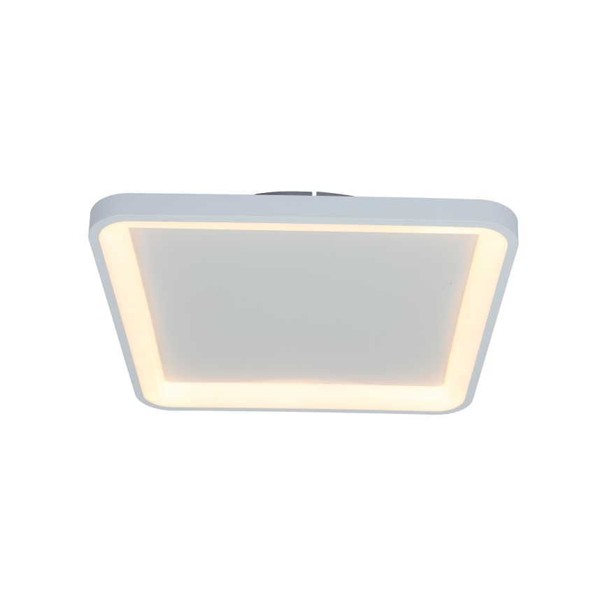 Brilagi - Plafonnier LED dimmable FALCON SLIM LED/50W/230V 3000-6500K 50x50 cm blanc + télécommande