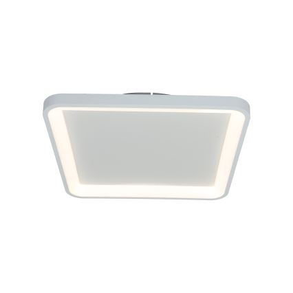 Brilagi - Plafonnier LED dimmable FALCON SLIM LED/50W/230V 3000-6500K 50x50 cm blanc + télécommande