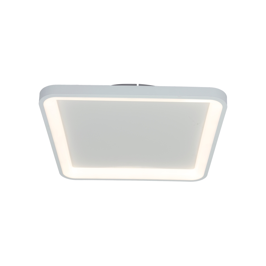 Brilagi - Plafonnier LED dimmable FALCON SLIM LED/50W/230V 3000-6500K 50x50 cm blanc + télécommande