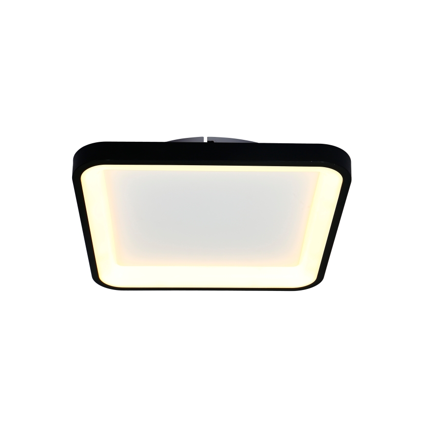 Brilagi - Plafonnier LED dimmable FALCON SLIM LED/50W/230V 3000-6500K 50x50 cm noir + télécommande