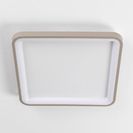 BRILAGI - Plafonnier LED dimmable FALCON SLIM LED/50W/230V 3000-6500K 50x50 cm blanc/beige + télécommande