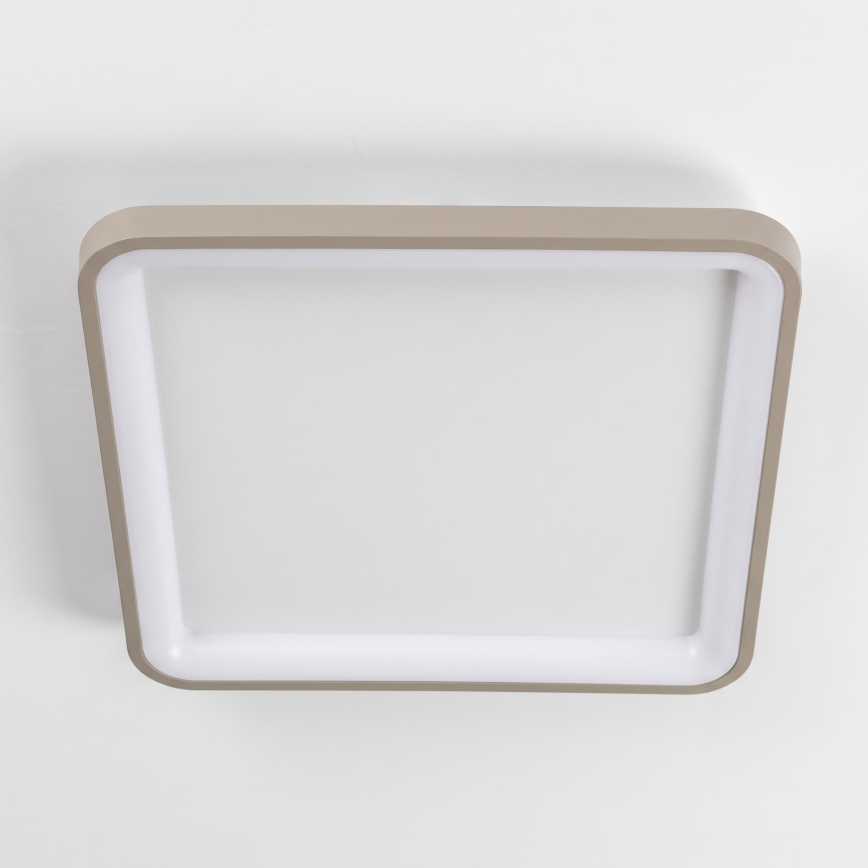 BRILAGI - Plafonnier LED dimmable FALCON SLIM LED/50W/230V 3000-6500K 50x50 cm blanc/beige + télécommande