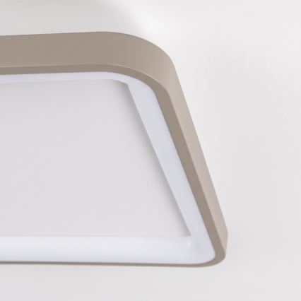 BRILAGI - Plafonnier LED dimmable FALCON SLIM LED/50W/230V 3000-6500K 50x50 cm blanc/beige + télécommande