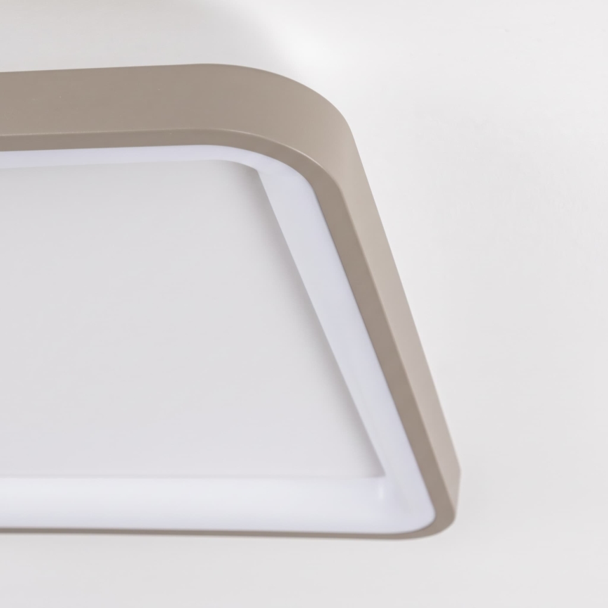 BRILAGI - Plafonnier LED dimmable FALCON SLIM LED/50W/230V 3000-6500K 50x50 cm blanc/beige + télécommande