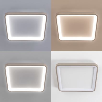 BRILAGI - Plafonnier LED dimmable FALCON SLIM LED/50W/230V 3000-6500K 50x50 cm blanc/beige + télécommande
