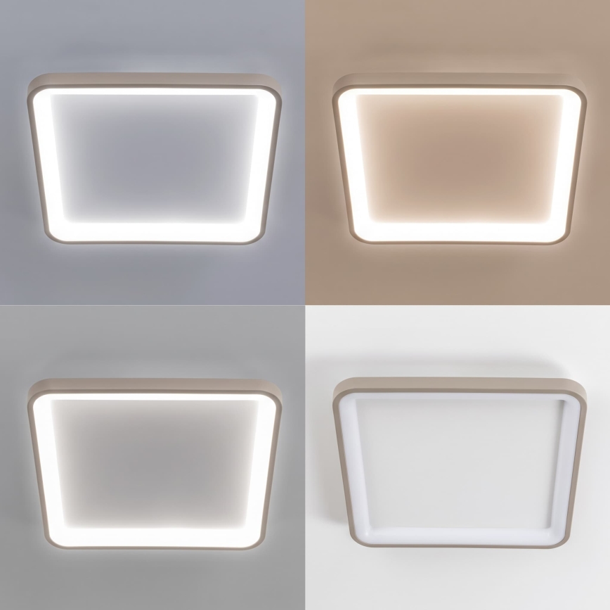 BRILAGI - Plafonnier LED dimmable FALCON SLIM LED/50W/230V 3000-6500K 50x50 cm blanc/beige + télécommande