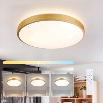 Brilagi - Plafonnier LED dimmable GLASS POOL DOUBLE LED/60W/230V 3000-6000K 50 cm doré + télécommande