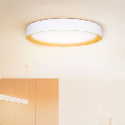 Brilagi - Plafonnier LED dimmable LARIOS LED/72W/230V blanc diam. 59 cm + télécommande