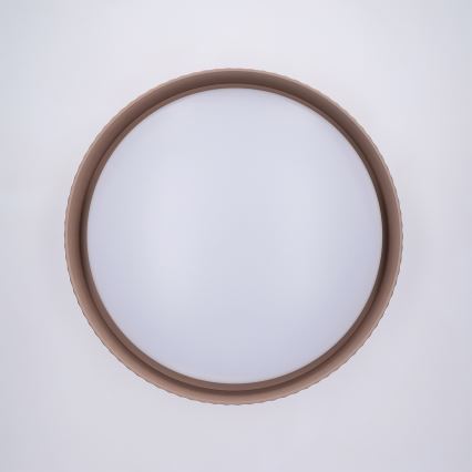 Brilagi - Plafonnier LED dimmable LUCIA LED/48W/230V 3000-6500K Ø 41 cm taupe + télécommande