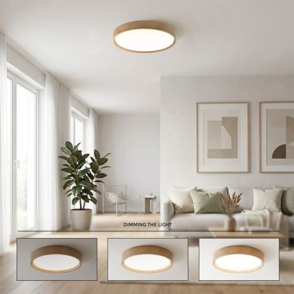Brilagi - Plafonnier LED dimmable MANAROLA REMOTE LED/36W/230V 3000-6500K Ø 51 cm chêne + télécommande