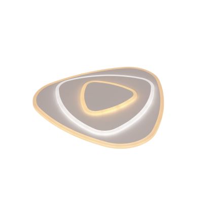 Brilagi - Plafonnier LED dimmable MODERN LED/58W/230V 3000-6000K 47x48,5 cm+ télécommande
