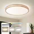 BRILAGI - Plafonnier LED dimmable MOLINA LED/100W/230V 3000-6000K chêne Ø 80 cm + télécommande