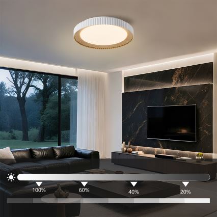 Brilagi - Plafonnier LED dimmable NEXO LED/48W/230V 3000-6000K blanc Ø 43 cm + télécommande