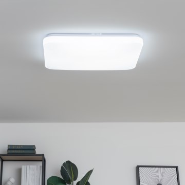 Brilagi - Plafonnier LED dimmable PINE LED/60W/230V diam. 52 cm 3000-6500K + télécommande