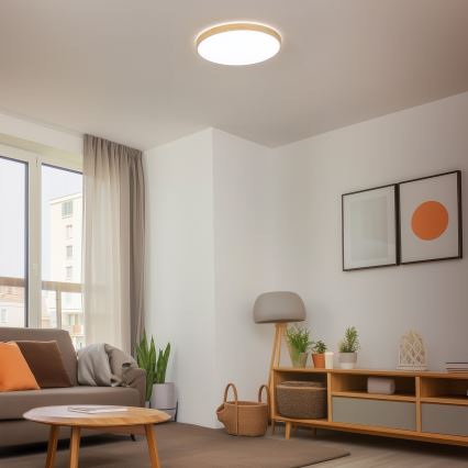 Brilagi - Plafonnier LED dimmable PINE LED/60W/230V Ø 52 cm 3000–6500 K + télécommande