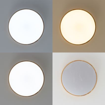 Brilagi - Plafonnier LED dimmable PINE LED/60W/230V Ø 52 cm 3000–6500 K + télécommande