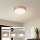 Brilagi - Plafonnier LED dimmable POOL LED/24W/230V 3000-6000K diam. 20 cm bronze + télécommande