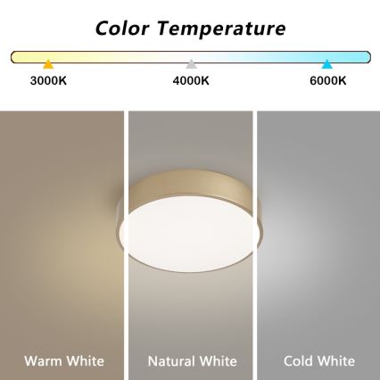 Brilagi - Plafonnier LED dimmable POOL LED/24W/230V 3000–6000 K Ø 20 cm doré + télécommande