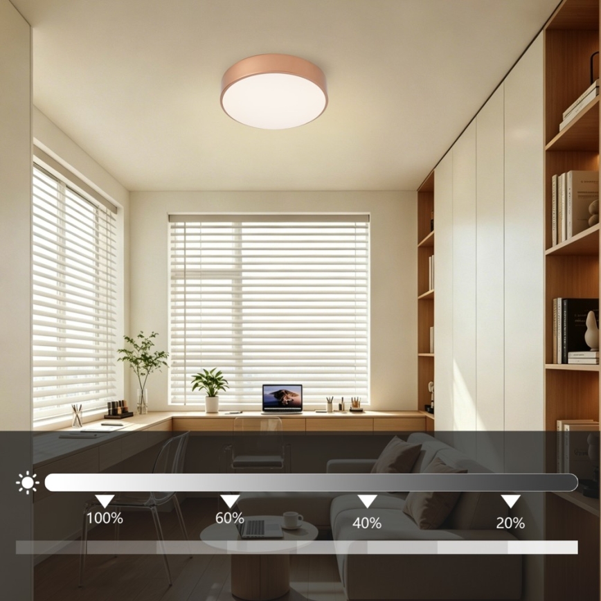 Brilagi - Plafonnier LED dimmable POOL LED/24W/230V 3000-6000K diam. 20 cm bronze + télécommande