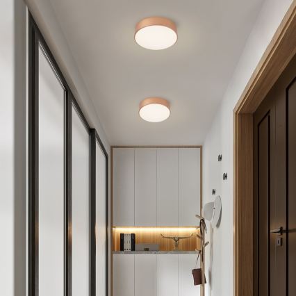 Brilagi - Plafonnier LED dimmable POOL LED/24W/230V 3000-6000K diam. 20 cm bronze + télécommande