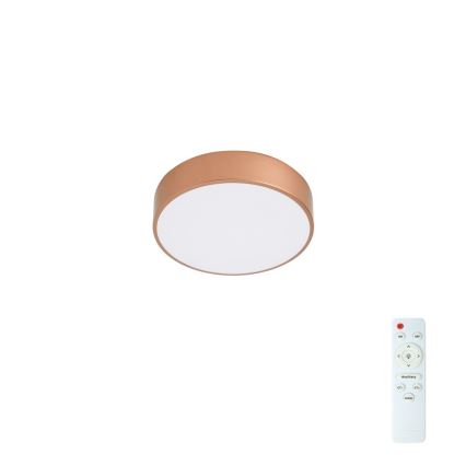 Brilagi - Plafonnier LED dimmable POOL LED/24W/230V 3000-6000K diam. 20 cm bronze + télécommande