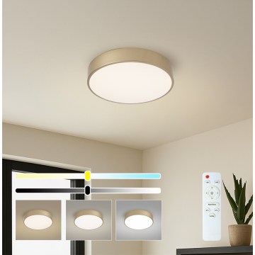 Brilagi - Plafonnier LED dimmable POOL LED/36W/230V 3000-6000K Ø 30 cm doré + télécommande