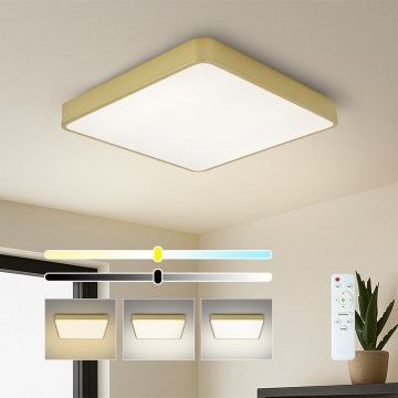 Brilagi - Plafonnier LED dimmable POOL LED/48W/230V 3000-6000K 50x50 cm doré + télécommande