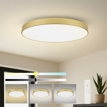 Brilagi - Plafonnier LED dimmable POOL SMART LED/180W/230V 3000-6000K 120 cm doré Wi-Fi Tuya + télécommande