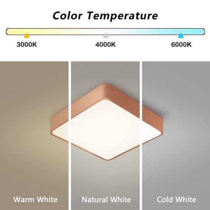 BRILAGI - Plafonnier LED dimmable POOL SQUARE LED/36W/230V 3000-6000K 40x40 cm cuivré + télécommande