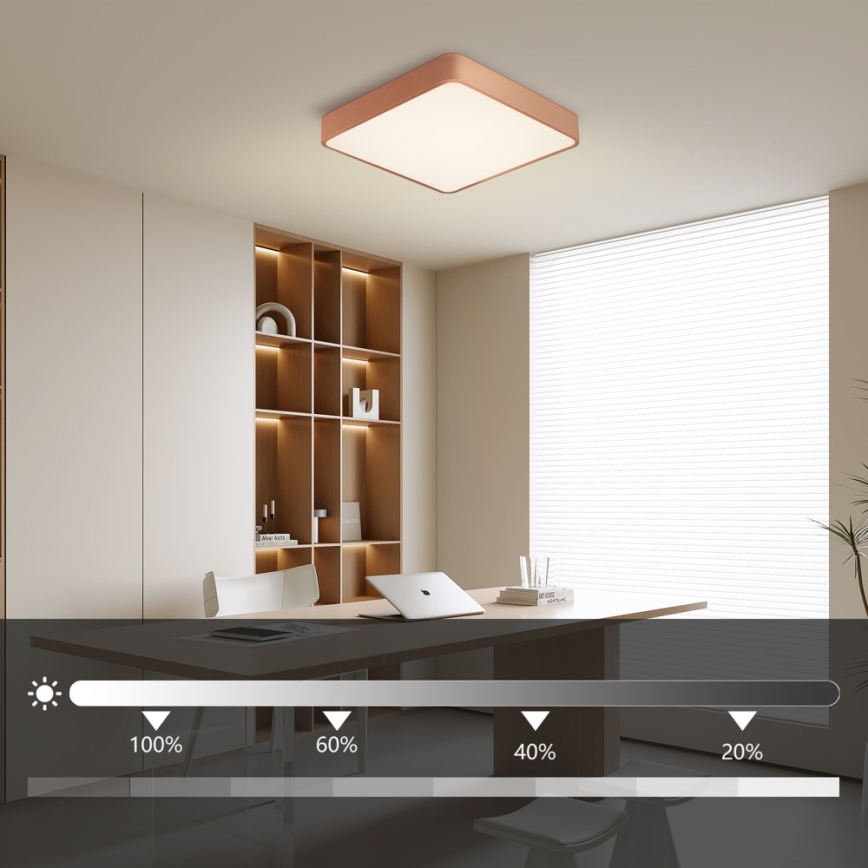 BRILAGI - Plafonnier LED dimmable POOL SQUARE LED/48W/230V 3000-6000K 50x50 cm bronze + télécommande