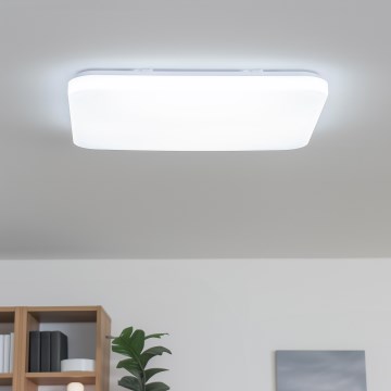 Brilagi - Plafonnier LED dimmable SHINE LED/24W/230V Ø 60 cm 3000/4000/6500K crème + télécommande