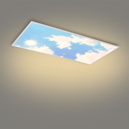 Brilagi - Plafonnier LED dimmable SLIMFRAME LED/80W/230V 120x60 cm 3000-6000K argenté/bleu + télécommande