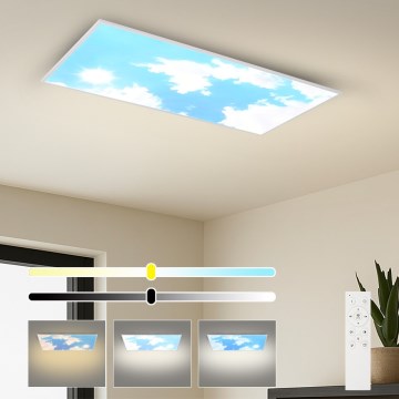 Brilagi - Plafonnier LED dimmable SLIMFRAME SKY LED/80W/230V 120x60 cm 3000-6000K argenté/bleu + télécommande