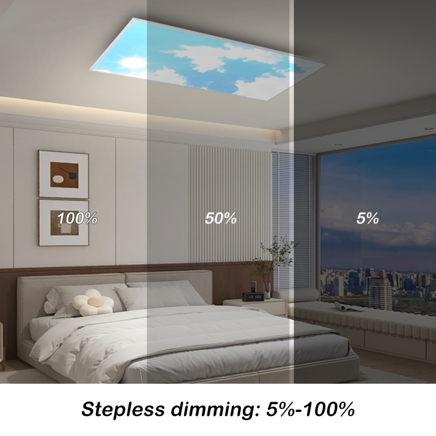 Brilagi - Plafonnier LED dimmable SLIMFRAME SKY LED/80W/230V 120x60 cm 3000-6000K argenté/bleu + télécommande